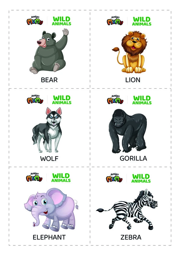 16-Wild animals